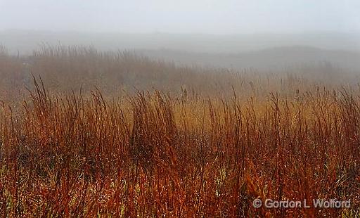 Mustang Island In Fog_42402.jpg - Photographed along the Gulf coast on Mustang Island near Corpus Christi, Texas, USA.